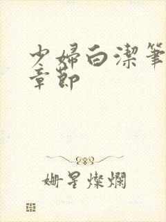 少妇白洁笔趣阁章节