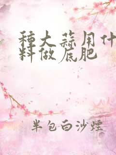 种大蒜用什么肥料做底肥