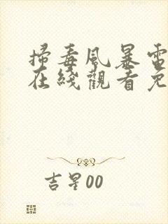 扫毒风暴电视剧在线观看免费观看