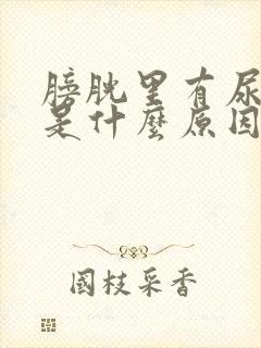 膀胱里有尿就疼是什么原因
