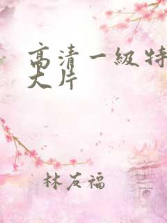 高清一级特黄a大片