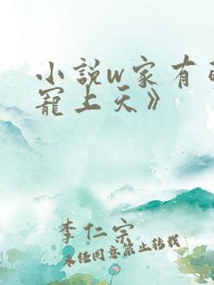 小说w家有萌妻宠上天》