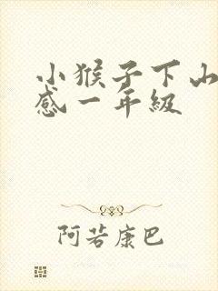 小猴子下山读后感一年级