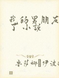 我的男朋友出轨了 小说