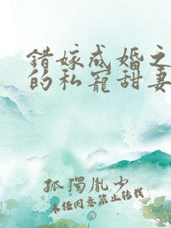 错嫁成婚之总裁的私宠甜妻版