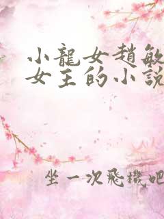 小龙女赵敏黄蓉女主的小说
