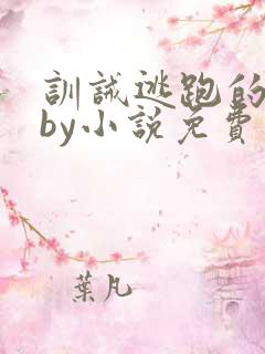 训诫逃跑的惩罚by小说免费阅读