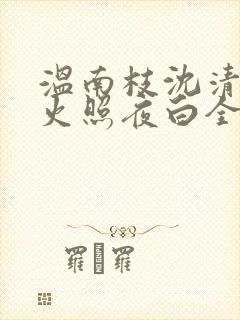 温南枝沈清宴烟火照夜白全文在线阅读