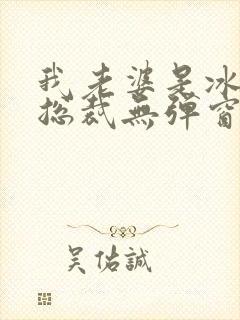 我老婆是冰山女总裁无弹窗免费