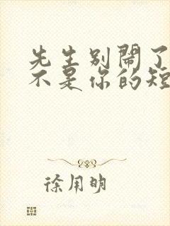 先生别闹了新娘不是你的短剧免费
