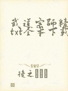 武道宗师精校版txt全本下载