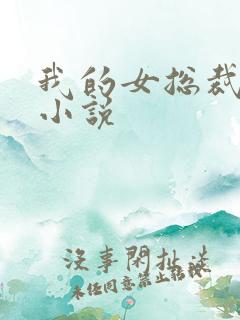 我的女总裁娇妻小说