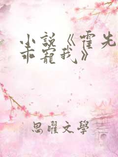 小说《霍先生乖乖宠我》