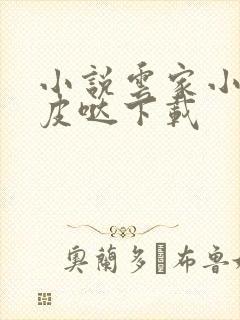 小说云家小九超皮哒下载