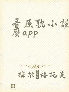 看原耽小说用什么app
