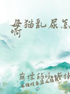 母猫乱尿怎么办啊
