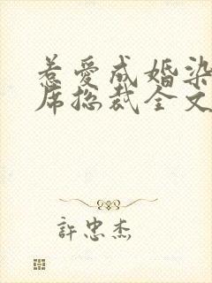 惹爱成婚染指首席总裁全文免费阅读