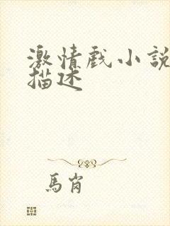 激情戏小说片段描述