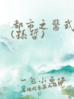 都市之医武双修(孙哲)