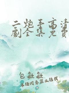 二炮手高清电视剧全集免费