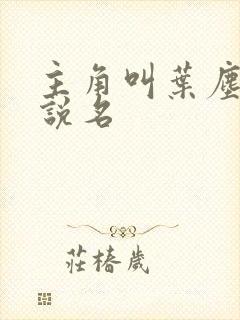 主角叫叶尘的小说名