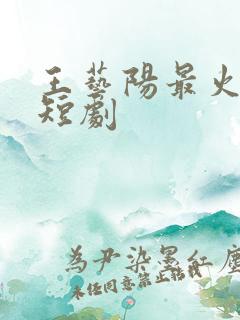 王艺阳最火十部短剧