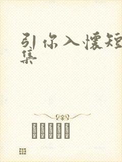 引你入怀短剧合集