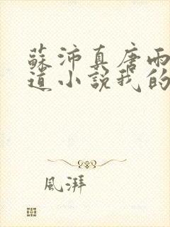 苏沛真唐雨菲林道小说我的岳母