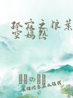 孤寂之狼叶凡司空嫣然