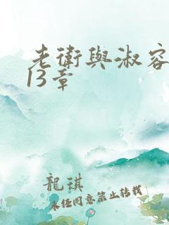 老卫与淑容小说13章