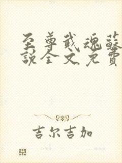至尊武魂苏莫小说全文免费阅读