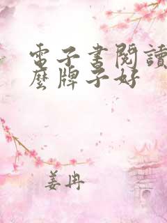 电子书阅读器什么牌子好