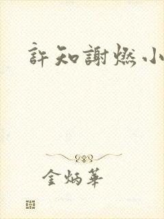许知谢燃小说