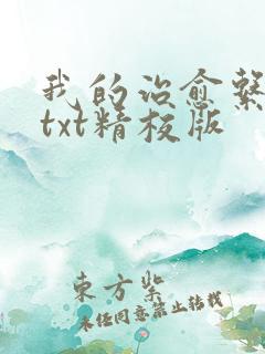 我的治愈系游戏txt精校版