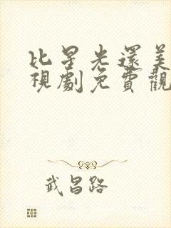 比星光还美丽电视剧免费观看高清