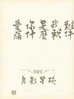 爱你是我难言的痛什么软件可以看完整版