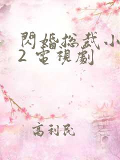 闪婚总裁小娇妻2 电视剧