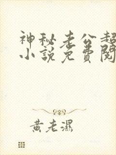 神秘老公超级甜小说免费阅读全文