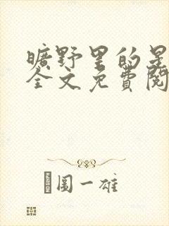 旷野里的星小说全文免费阅读