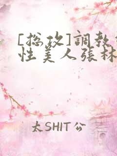 [总攻]调教双性美人张林