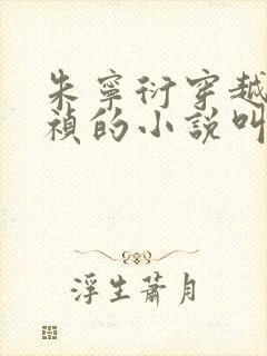 朱宁衍穿越成崇祯的小说叫什么