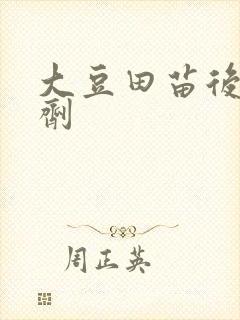 大豆田苗后除草剂