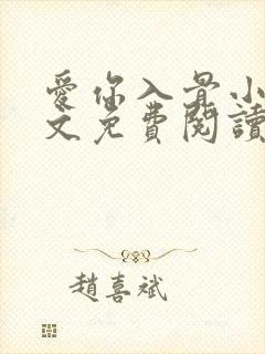 爱你入骨小说全文免费阅读