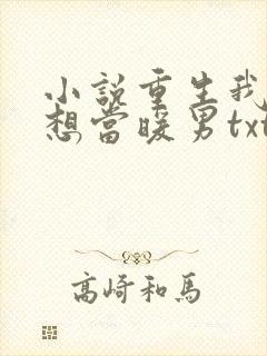 小说重生我真没想当暖男txt