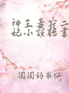 神王毒宠二嫁王妃小说听书
