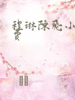 程琳陈飞小说免费