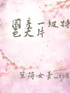 国产一级特黄特色大片