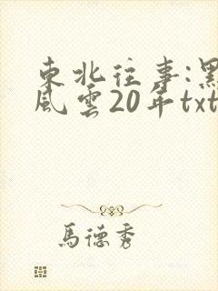 东北往事:黑道风云20年txt下载