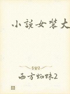 小说女装大佬