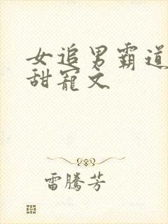 女追男霸道总裁甜宠文